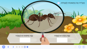 הנמלה-1.png